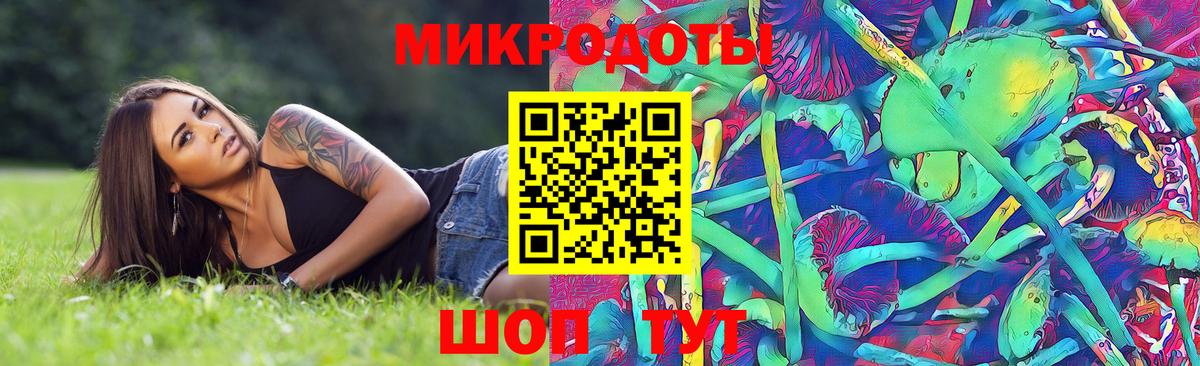 Псилоцибиновые грибы GOLDEN TEACHER Саяногорск
