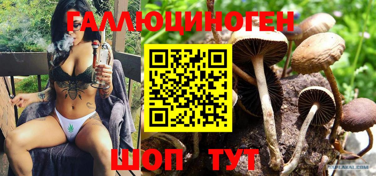 Псилоцибиновые грибы ЛСД  Вход с VPN  Псилоцибиновые грибы мицелий  Саяногорск 